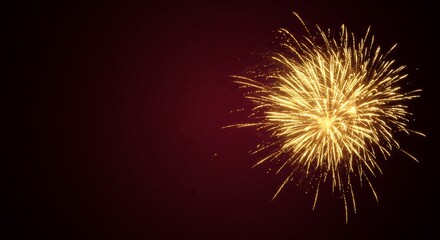 Fototapeta premium Golden Fireworks Burst in Night Sky