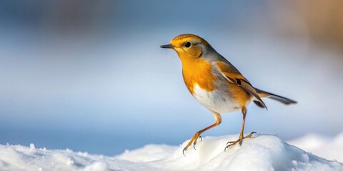 A Vibrant Small Bird Perched on a Snowy Surface in a Winter Landscape