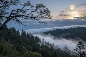 Full moon rising over forested mountain range with low-lying clouds and silhouetted tree branches in a twilight landscape