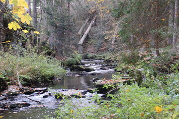 Valley of river Doubrava, Czech Republic