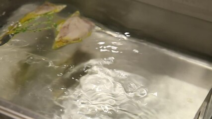 A beautifully plated gourmet dish featuring tender protein, rich sauce, creamy puree, and artistic garnishes. This elegant culinary creation is perfect for fine dining establishments