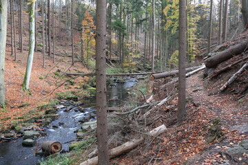 Valley of river Doubrava, Czech Republic