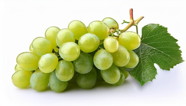 fresh green grape cluster isolated on white background