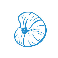 Marine whimsical hand drawn seashell in blue color on the white background