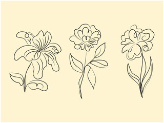 hand drawn flowers