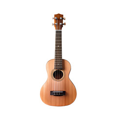 Obraz premium musical instrument png collection of acoustic musical instruments PNG performance gear PNG transparent background image