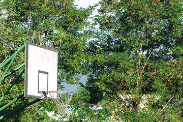 Basketball hoop in a garden