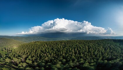 scarry shelf cloud over forest drone landscape