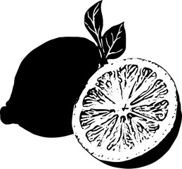 vector illustration of lemon