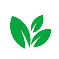 Green organic leaf PNG, eco friendly graphic, herbal nature art