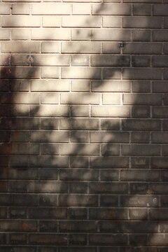 A dreamy view of a shadow on a wall.