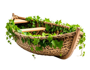 Ivy Covered Boat Illustration