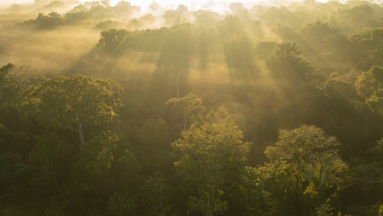 Obraz premium Aerial Views of the Cloud Forest near Tambopata National Reserve, Madre de Dios
