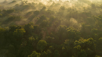 Aerial Views of the Cloud Forest near Tambopata National Reserve, Madre de Dios