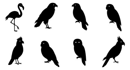 Naklejka premium Silhouette bird collection: diverse parrot and flamingo silhouettes
