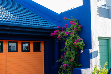 Farbenfrohes Haus mit Bougainvillea in Kapstadt