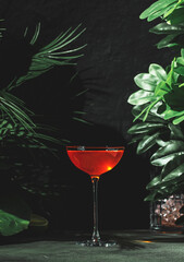 Vibrant orange cocktail with mezcal and bitters served in a stylish glass amidst lush greenery at...