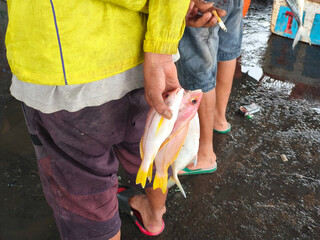 A man in a jacket holds a freshly caught yellow fish at a traditional market, with vibrant stalls and local activity bustling in the background. A lively moment that captures the spirit of local trade