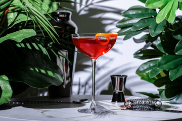 Refreshing Hanky Panky cocktail served in a classic coupe glass with a twist of orange