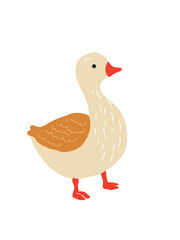 vector illustration of a cartoon duck