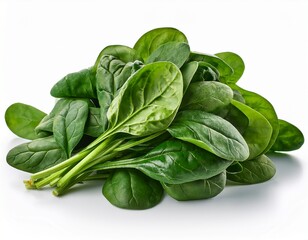 Fototapeta premium spinach isolated on white background