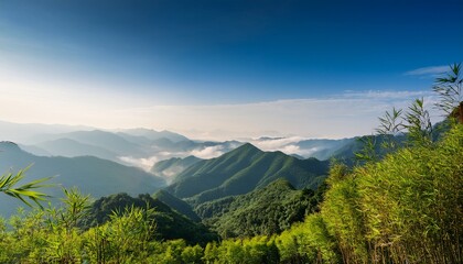 Obraz premium serene mountain landscape with bamboo forest and misty horizon