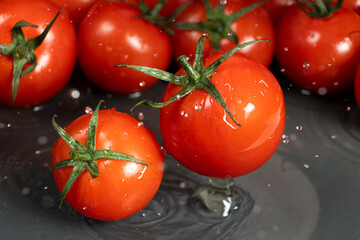 Fresh whole tomatoes in a splash of water