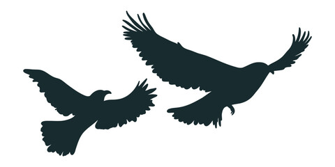 vector illustration elegant bird silhouette with outstretched wings