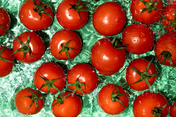 Top View of Wet Tomatoes in Fresh Splash Scene