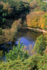Lac au miroir aux fées, légende de Merlin l' enchanteur, le Graal, Foret de Brocéliande, 56,...