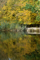 Lac au miroir aux fées, légende de Merlin l' enchanteur, le Graal, Foret de Brocéliande, 56,...
