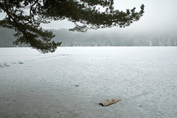 Lac Pavin, Parc naturel régional des volcans, 63, Puy de Dôme, France