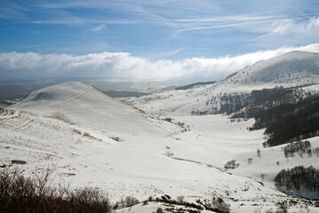 Puy Barbier, Les Monts d'Or, Parc naturel régional des volcans, 63, Puy de Dôme, , France