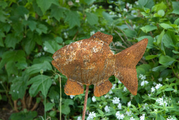 Sculpture de poisson en fer, Jardin botanique d'Hermann Hesse. Gaienhofen, Lac de Constance, Allemagne