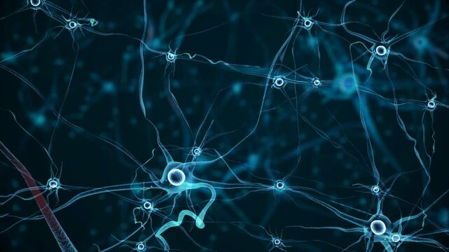 nether blue animation of neurons