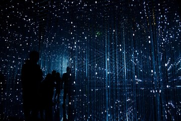 Night Cityscape: Silhouettes Against a Sparkling Metropolis
