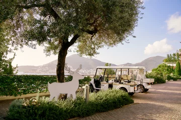 Fototapete Rund Vintage Auto Scenic view with tree, deer silhouette, vintage car in mediterranean setting  © Lui Shtein