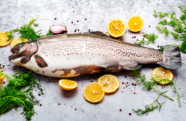 Fresh rainbow trout with lemon, dill, salt and spices on grey table background, ready for cooking, baking or bbq, top view