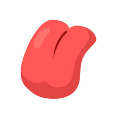 vector illustration of tongue anatomy theme with white background
