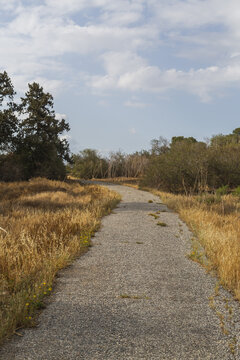 View of a tranquil gravel path winding through sun-drenched golden meadows under a vast, airy sky, inviting exploration and peace, Salamis Harabeleri, Northern Cyprus, Cyprus.