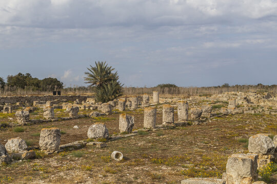View of ancient ruins scattered across the sun-baked earth, whispers of a forgotten era linger in the air, Salamis Harabeleri, Harabeleri Salamis Yolu, Cipro.