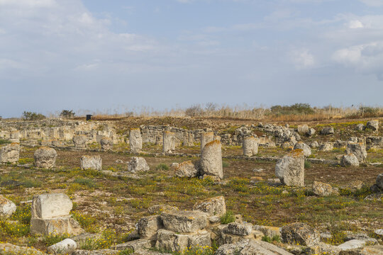 View of sun-kissed ancient ruins scattered across a field, whispering tales of a bygone era under a vast sky, Salamis Harabeleri, Harabeleri Salamis Yolu, Cipro.