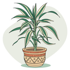 palm tree in a pot
