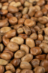 Fototapeta premium Whole dried raw uncooked vicia faba beans macro