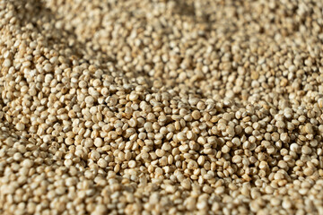 White Quinoa Macro Background. Raw Superfood Texture