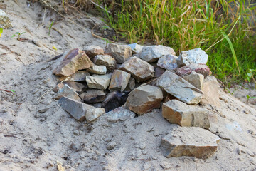 Collection of smooth river stones and pebbles arranged naturally on sandy beach or riverbank surface