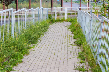 Paved walkway with concrete tiles bordered by white railings and natural grass vegetation