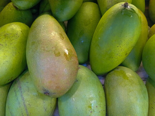 Green manggo. Fresh green mangoes arrangement at supermarket for sale. Manggo is tropical fruit contains many vitamin and fiber. 