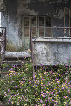 View of abandoned building with weathered walls and overgrown flowers, a poignant reminder of time's passage and lost memories, Varosha, Famagusta, Cyprus.
