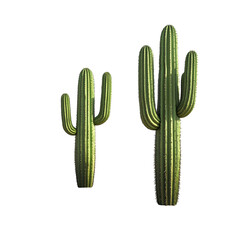 Two stylized cactus plants isolated on black background